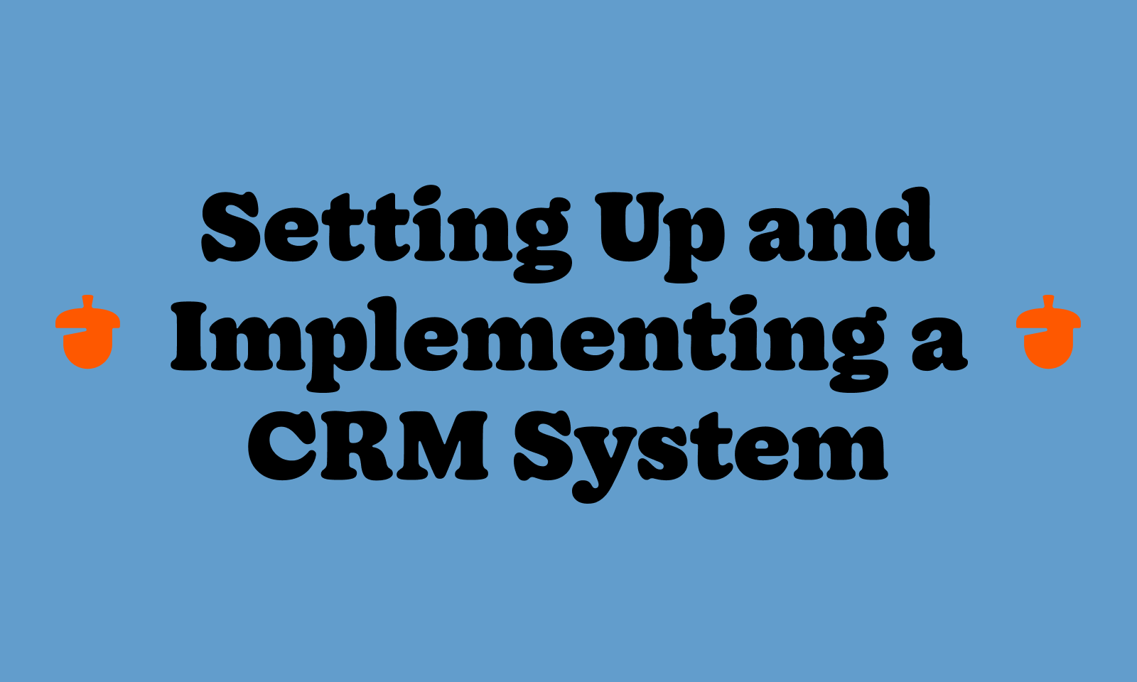 Setting up and implementing a CRM system