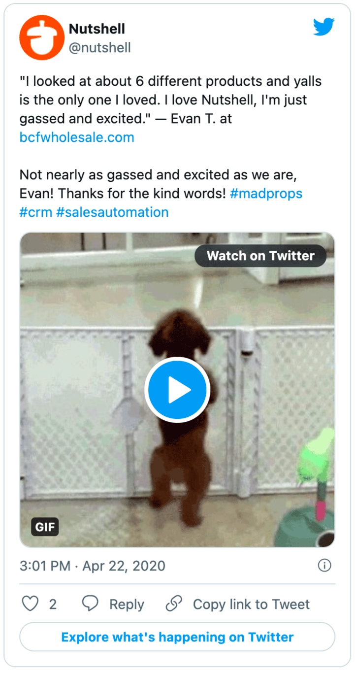 a tweet from Nutshell shows positive Nutshell and a video of a dog jumping over a fence