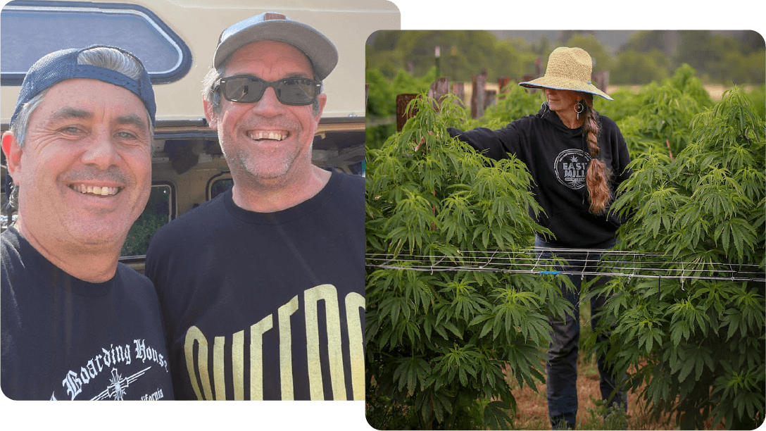 a photo of two men smiling next to a photo of a woman between two cannabis plants